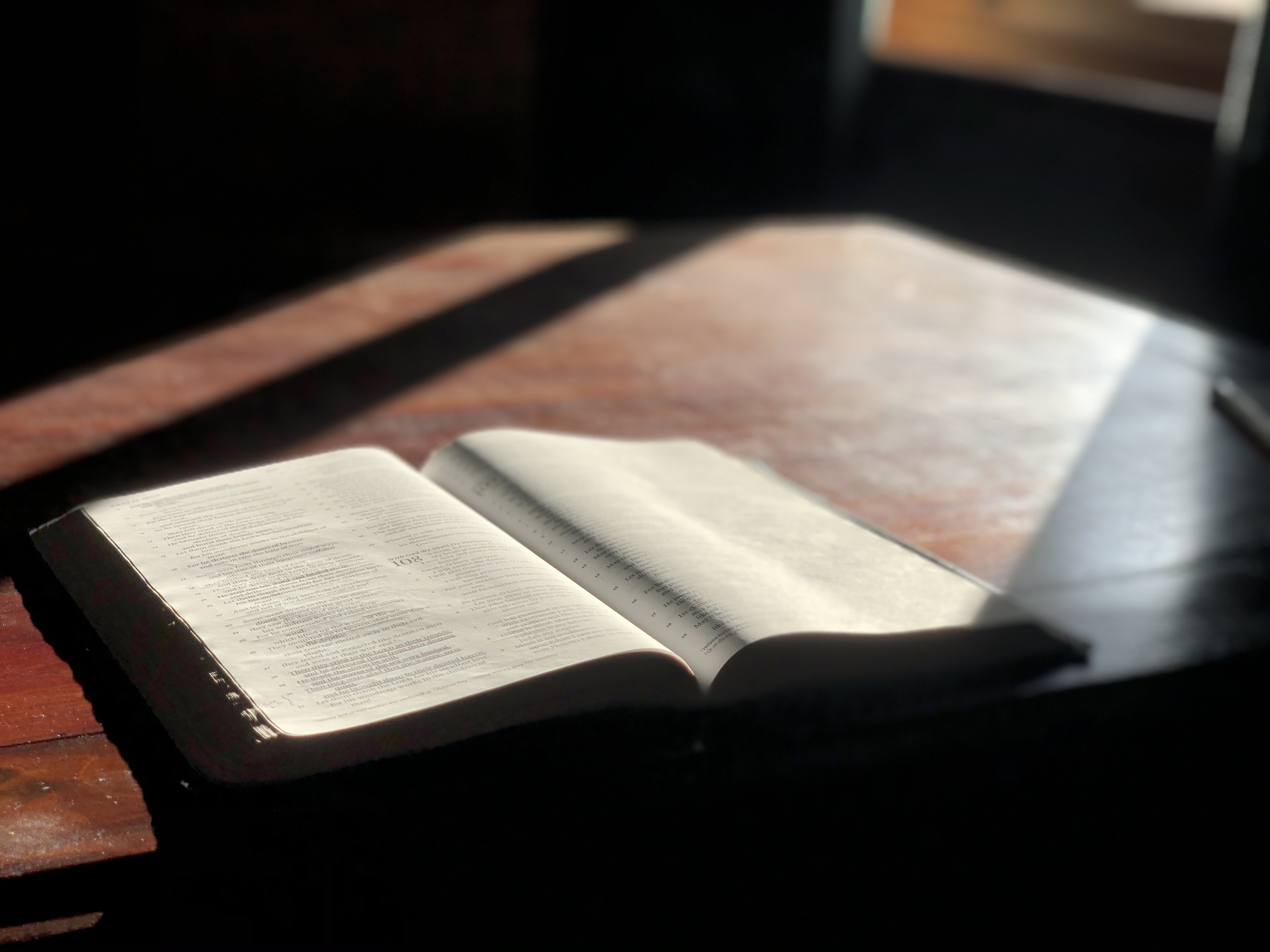 Open Bible in sunlight